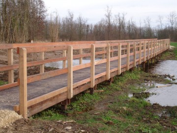 Pont en bois